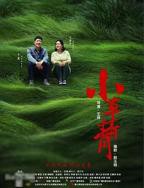 《小草青青》全集免费在线观看国产剧